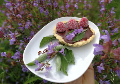 Tartelettes mit Salbei-Chili-Ganache, Himbeeren und Salbeiblüten