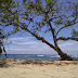 Liburan di Pantai Ngliyep Malang