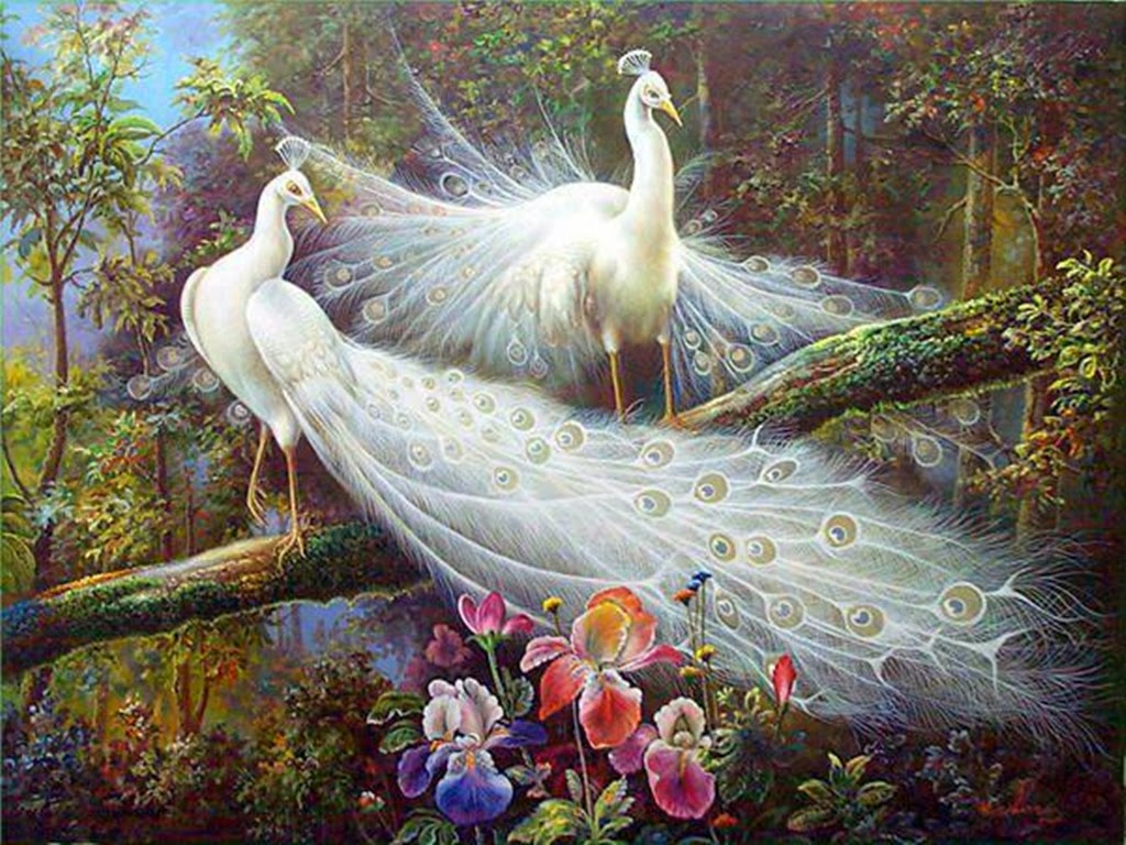 Beautiful White Peacock Paintings