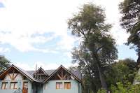 Un viejo árbol, de 150 años de antigüedad, se convirtió en el eje de discusión entre dos vecinas de la península San Pedro de Bariloche