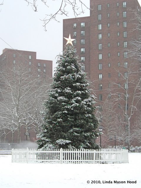 christmas tree snow