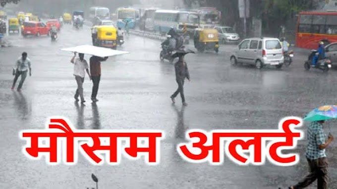 मानसून की सक्रियता बढ़ी, 20 जिलों में भारी बारिश का अलर्ट