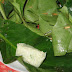 TAPE KETAN BUNGKUS DAUN JAMBU