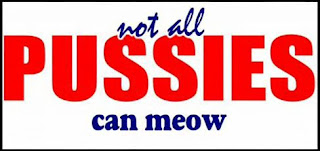 Not all pussies can meow