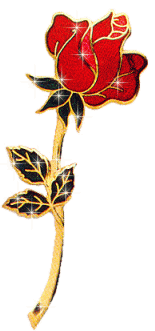 2724844_t8YNP