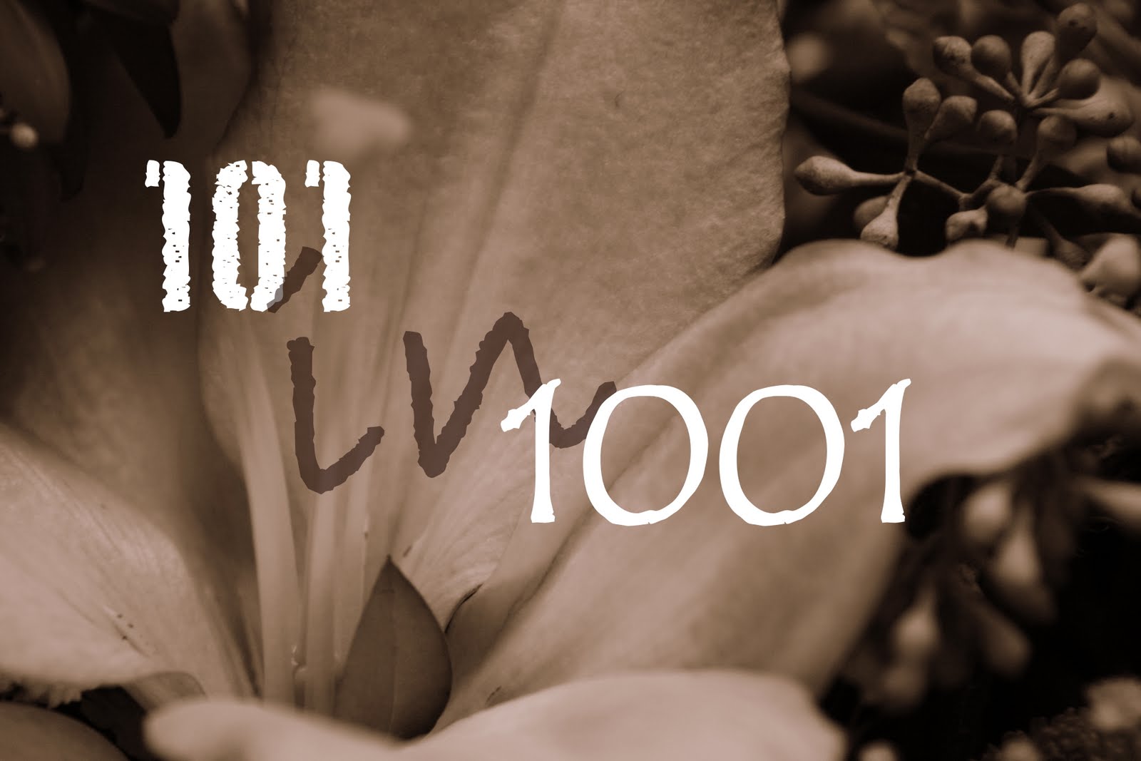 101 in 1001