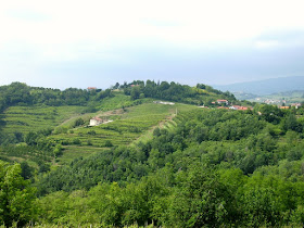 colline del Prosecco