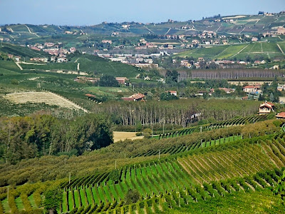 Piedmont wine region in Italy