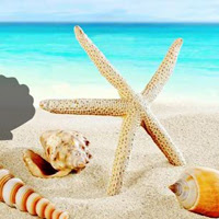 Games2Rule - G2R Fantasy Conch Beach Escape