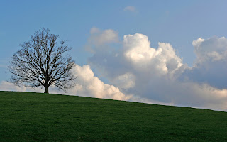 landscape_photo_2