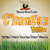 CHANGES RIDDIM CD (2014)