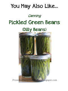 http://proverbsthirtyonewoman.blogspot.com/2013/08/canning-pickled-green-beans-dilly-beans.html#.WIehp33krcQ