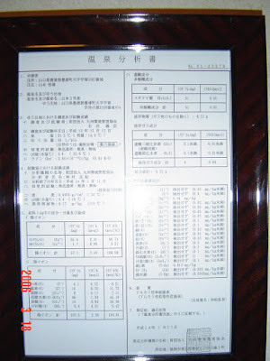 大河内温泉・平田旅館 温泉分析書