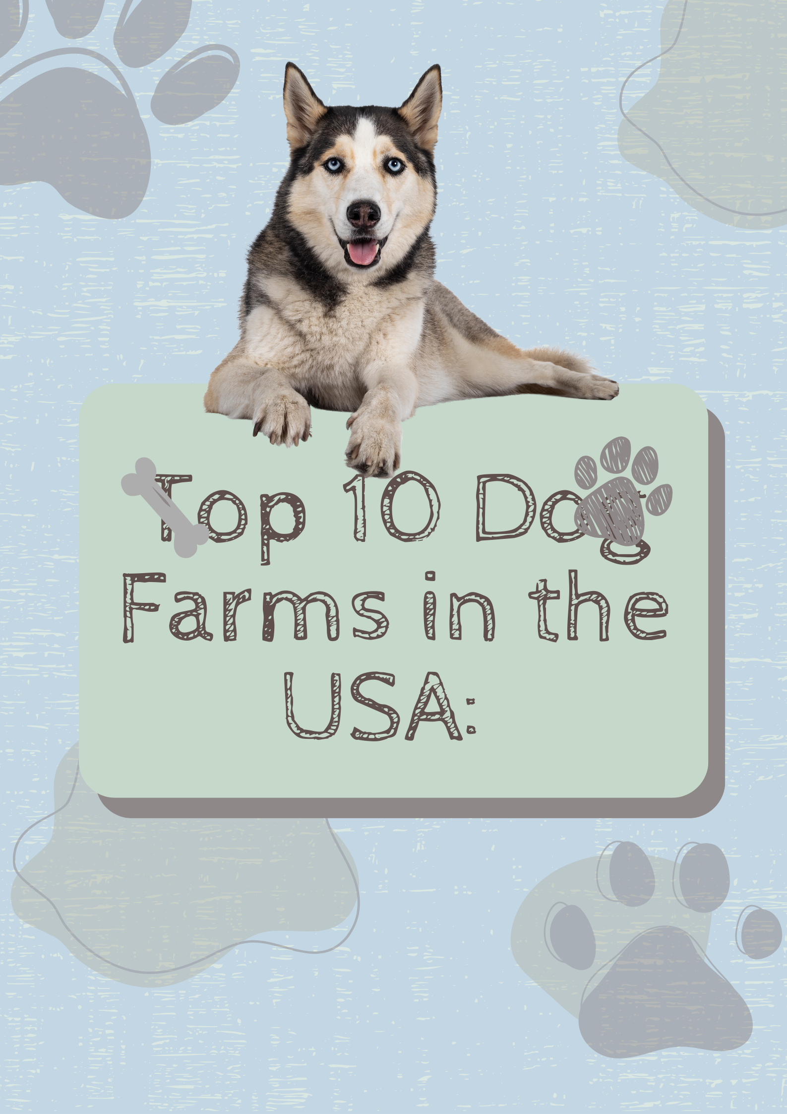 Top 10 Dog Farms in the USA: