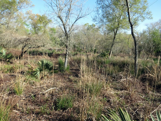 Armand Bayou Nature Center