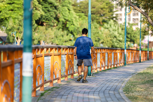 台中大里|興大康橋水岸公園|景觀橋|阿勃勒|落羽松|大里最美河畔