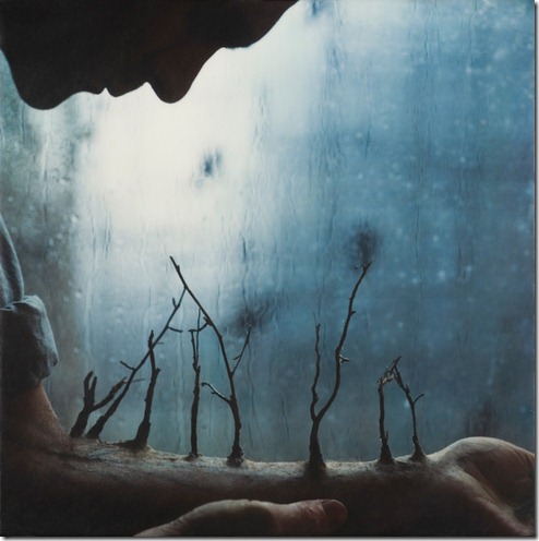 Robert and Shana parkeharrison (60)