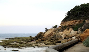 ptlonsdale3 (Medium)
