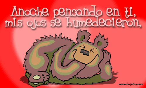 imagenes con frases de amor (27)