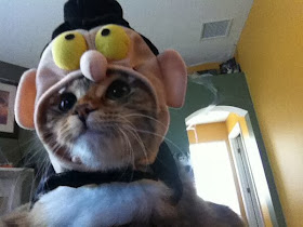 Funny cats - part 82 (40 pics + 10 gifs), cat photo, cat wears funny costume