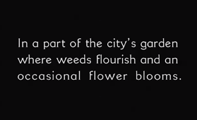 intertitle flower