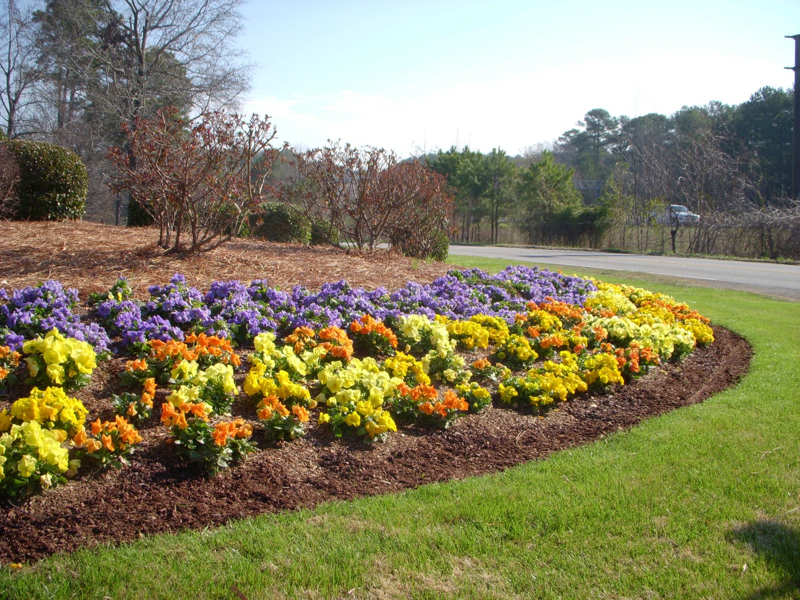 Landscaping Company Websites