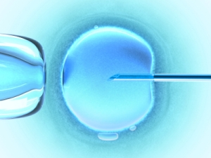 Innovative Device to Improve IVF Success Healthy Life Spot