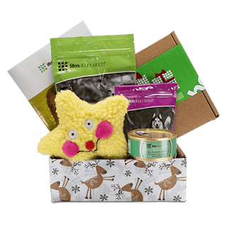 gift basket for dogs 2019