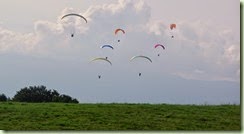 IMGP2471
