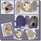 Accordion Card