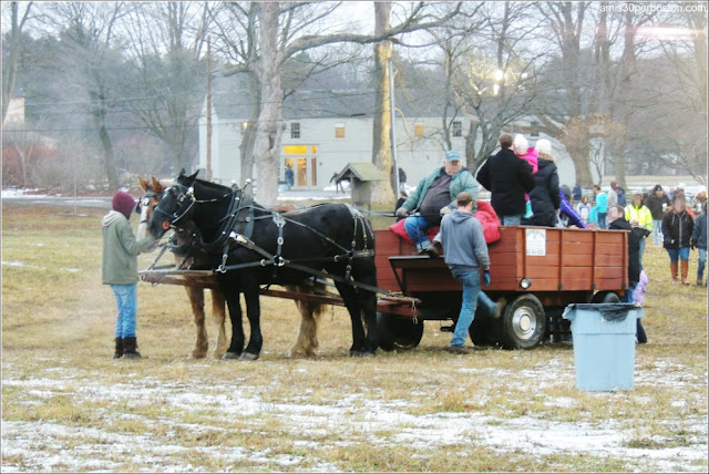 Paseos en Carros de Caballos: Old Newbury Bonfire