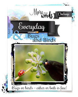 morethanwordschallenge.april-2020-main-challenge-everyday-bugs.html