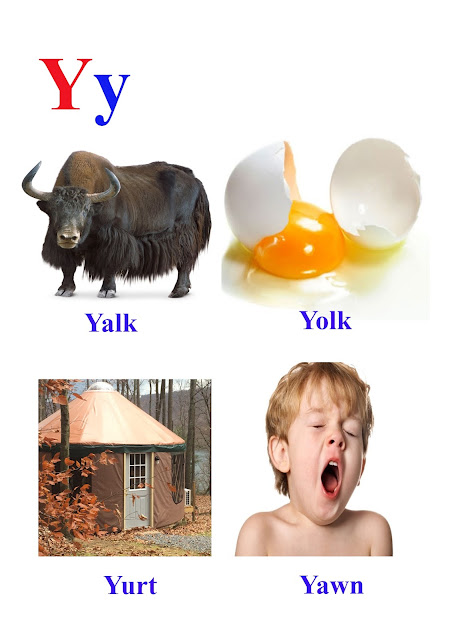 Y letter words- kids-easy-learn