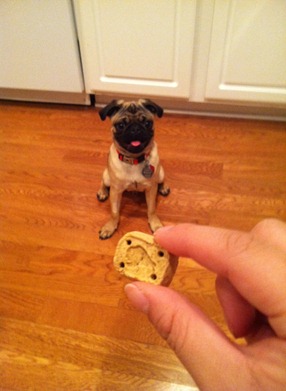 treat