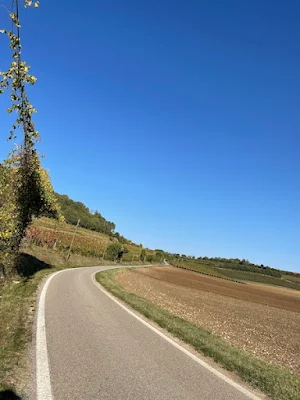 Colli Berici in moto