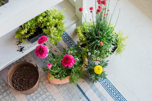 Planting spring annuals in recycled containers