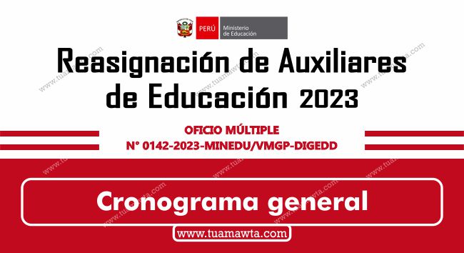 Cronograma para la reasignación de Auxiliares de Educación 2023