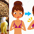 Fenugreek Grows Your Buttocks And Breasts The Size You Want, See The Details!