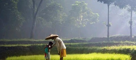 Harapan Isteri