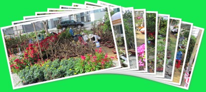 View album