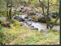 DSCN4047