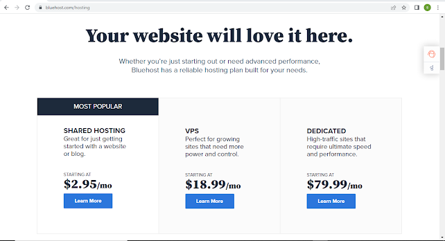 BlueHost website hosting