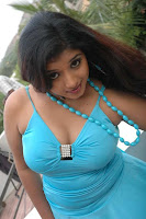 south indian hot masala actress soumya exposing stills