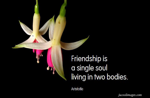 FRIENDSHIP QUOTES