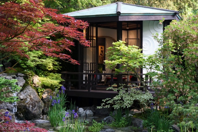 chelsea flower show zdjęcia z wycieczki