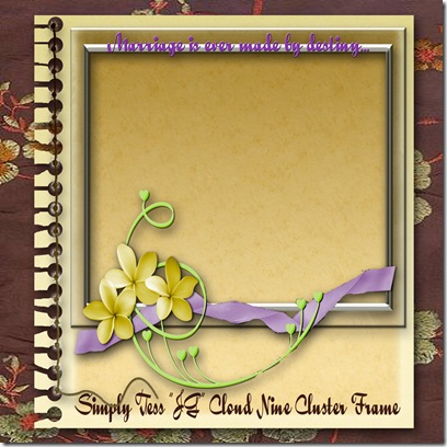 SimplyTess Cloud Nine Cluster Frame