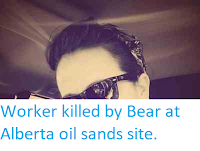 http://sciencythoughts.blogspot.co.uk/2014/05/worker-killed-by-bear-at-alberta-oil.html