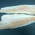 About Us (Frozen Milkfish, Buy Frozen Milkfish, Frozen Milkfish Importer, Indonesian Frozen Milkfish supplier )