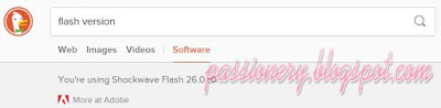 Duckduckgo - Kiểm tra phiên bản Flash Player