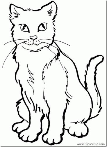 gatos colorear f (3)